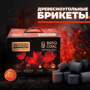 Древесноугольные брикеты (для гриля) BRIQ COAL 4 кг 4849 - фото 9166