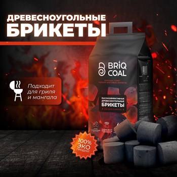 Древесноугольные брикеты (для гриля) BRIQ COAL 2,5 кг 4848 - фото 9167