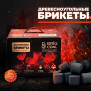 Древесноугольные брикеты (для гриля) BRIQ COAL 4 кг 4849