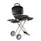 Мобильный газовый гриль Napoleon TravelQ PRO-285X 2023