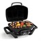 Переносной газовый гриль Napoleon TravelQ PRO-285 2024
