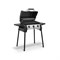 Газовый гриль BROIL KING PORTACHEF 320 952653kz